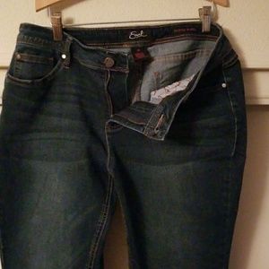 Earl Skinny Ankle Jeans 10